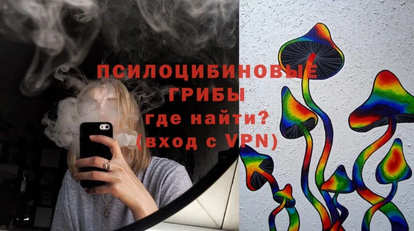 дмт Абаза