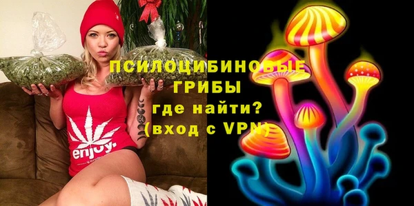 дмт Абаза